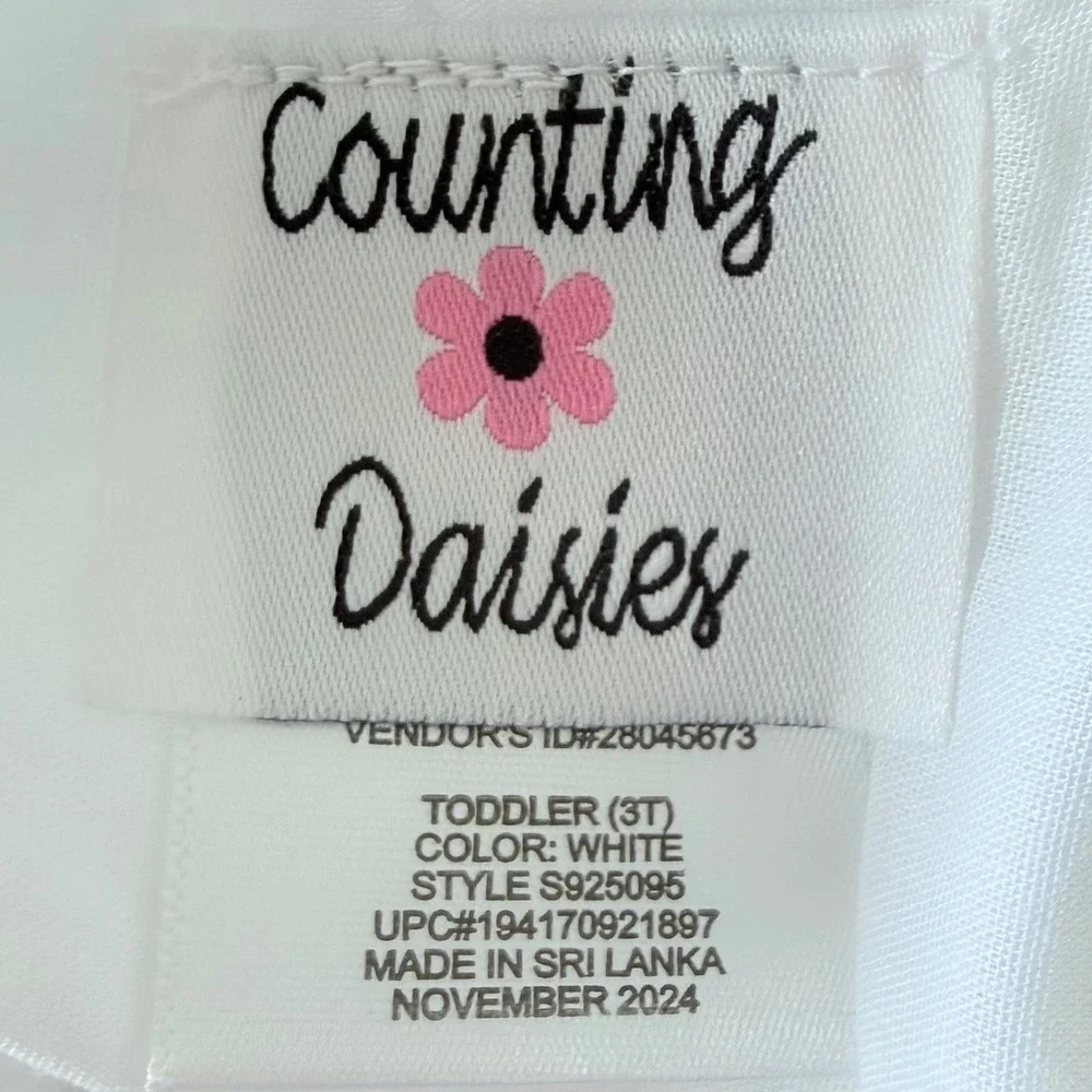 Counting Daisies Toddler 3T White Blue Floral Embroidered Tiered Dress NEW